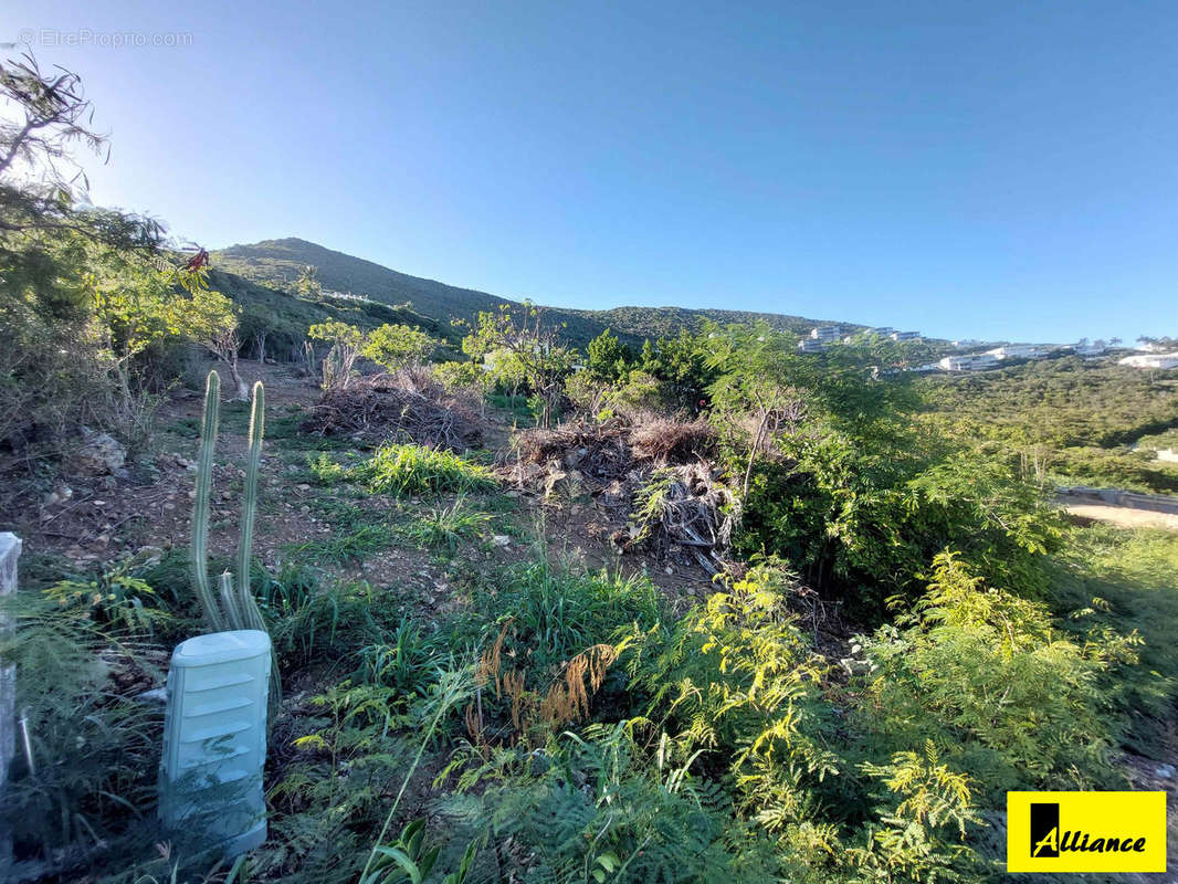 Terrain à SAINT-MARTIN