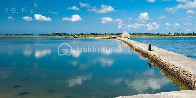 Terrain à ILE-D'ARZ