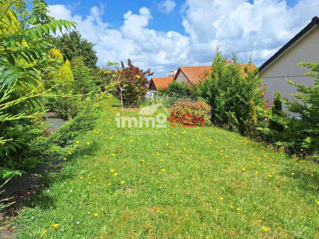 Maison à LE TREPORT