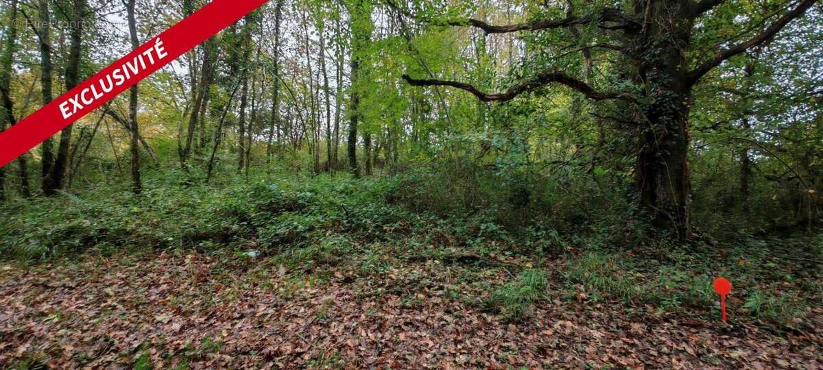 Terrain à LA CHAPELLE-DES-POTS