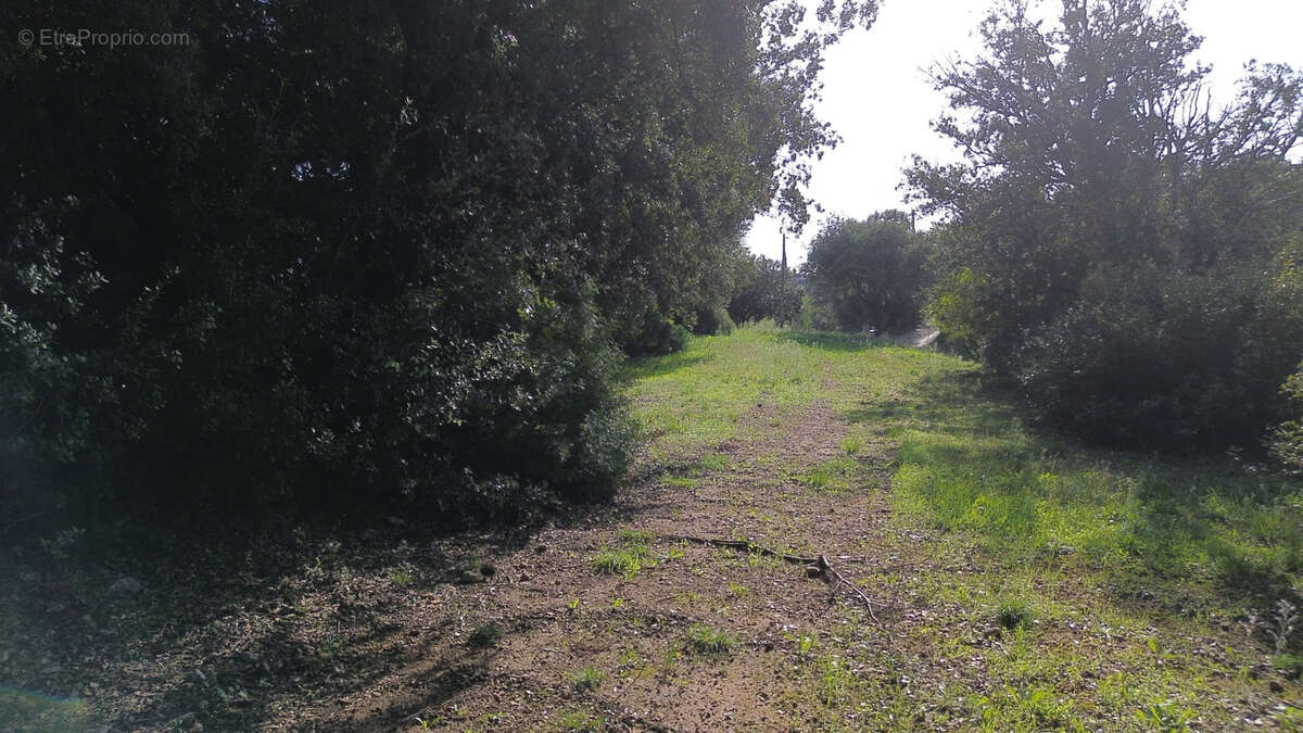 Terrain à PUECHABON