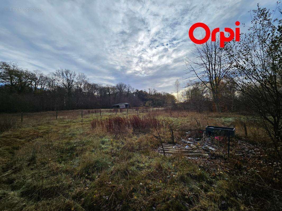 Terrain à BERNAY