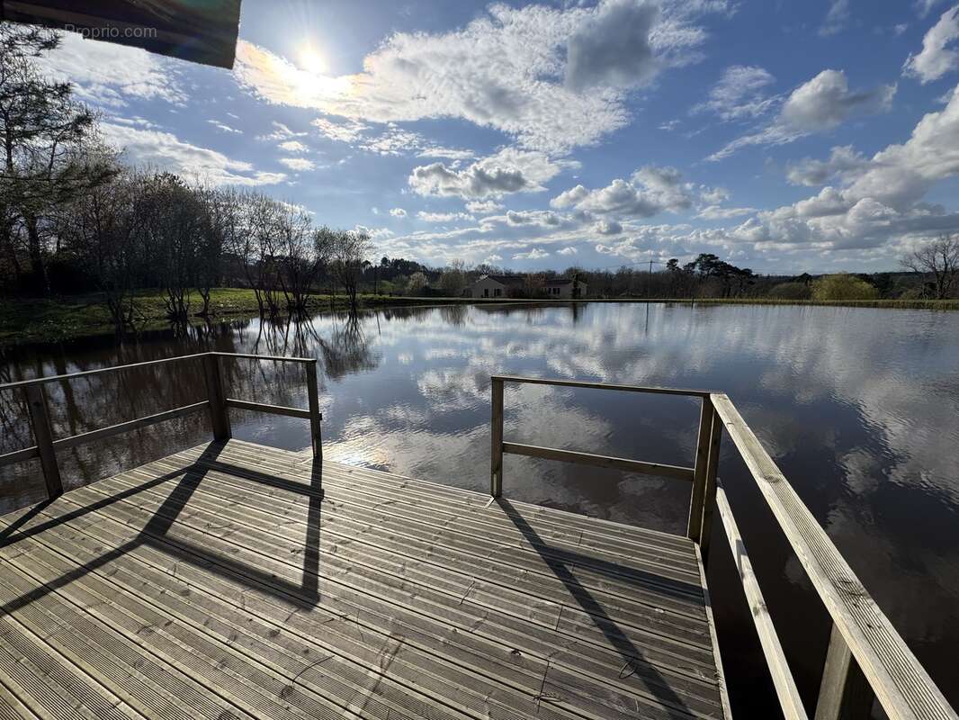 Maison 8 pièces 208 m² à vendre à Oriolles (16480) - photo 29