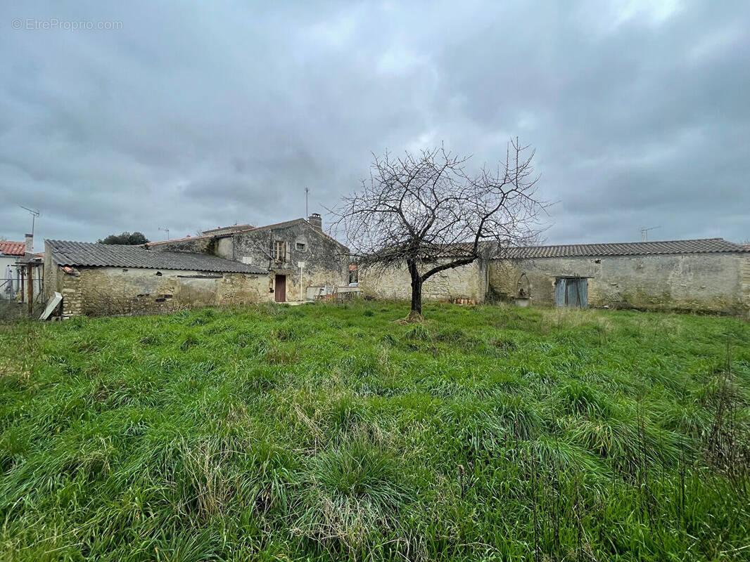 Terrain à LA JARNE