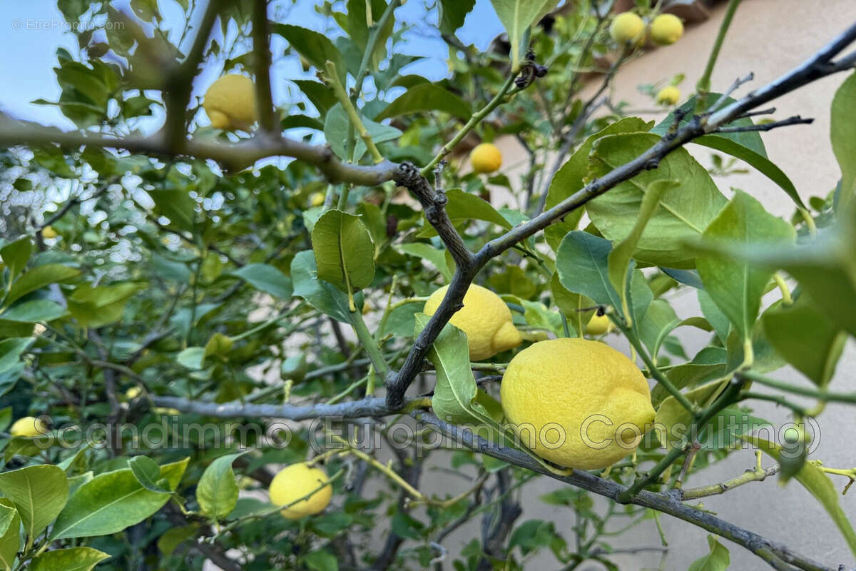 Maison à LA GARDE-FREINET