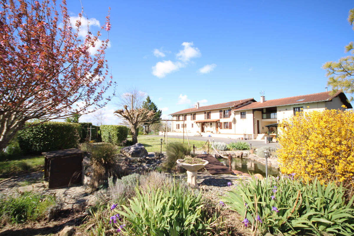 Maison à MONTESQUIEU-VOLVESTRE