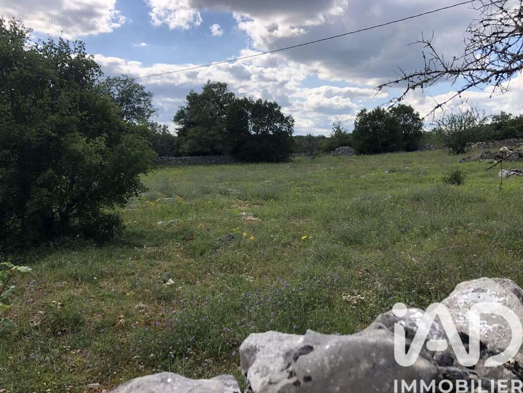 Photo 4 - Terrain à CORN