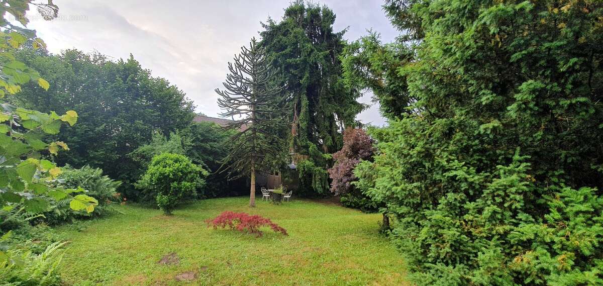 Maison à SAINT-JULIEN-LE-PETIT