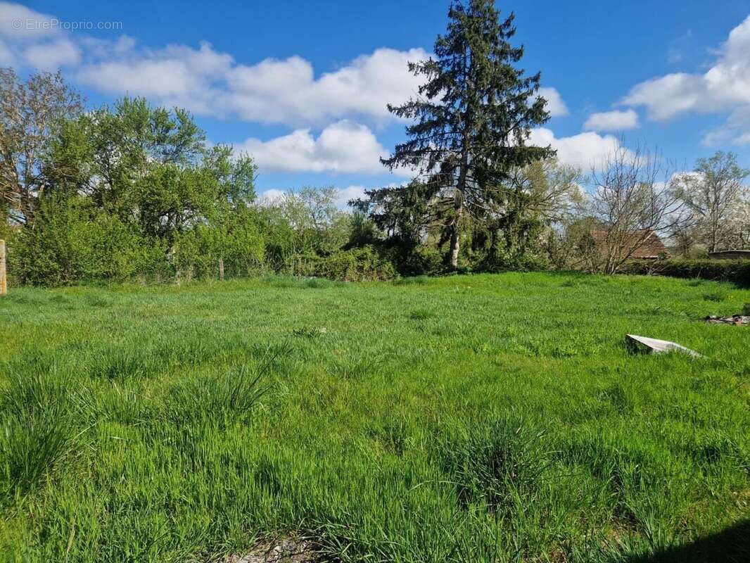 Photo 3 - Maison à TARGET