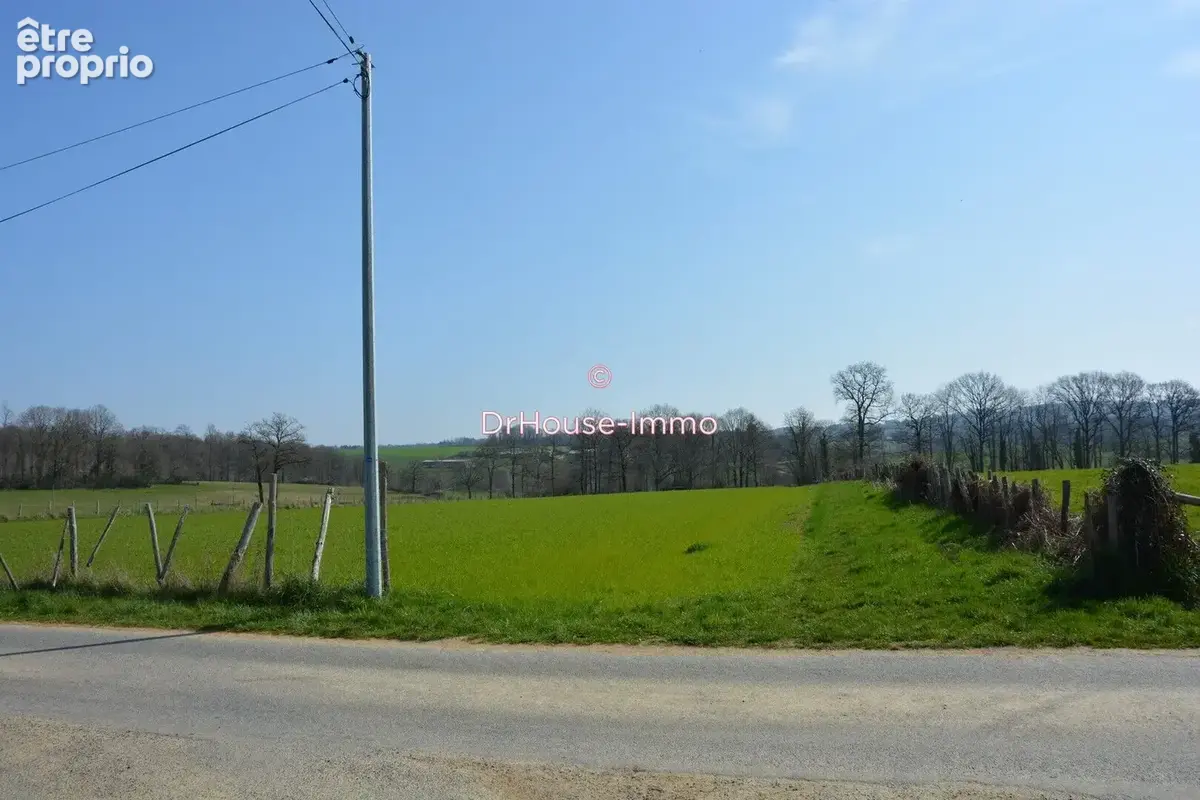 Terrain 99617 m² à Champsac  - photo 5