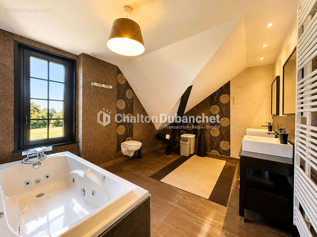 MONTAIGUET EN FOREZ - Maison de 330 m² sur  35000 m² de terrain et deux étangs - photo 14