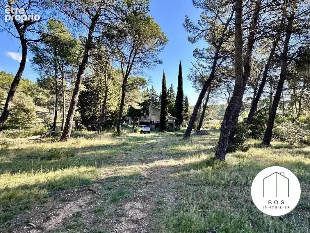 Votre Mazet au coeur des Alpilles - photo 6