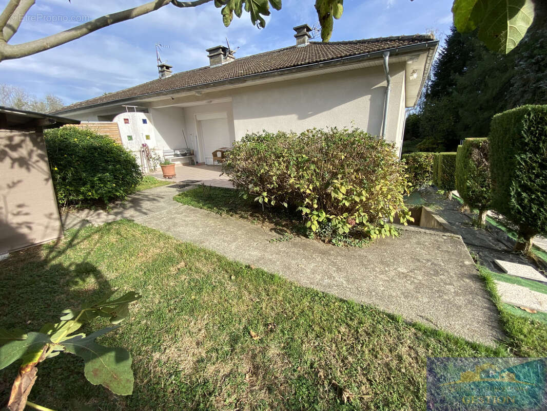 Maison avec 3 appartements - photo 18