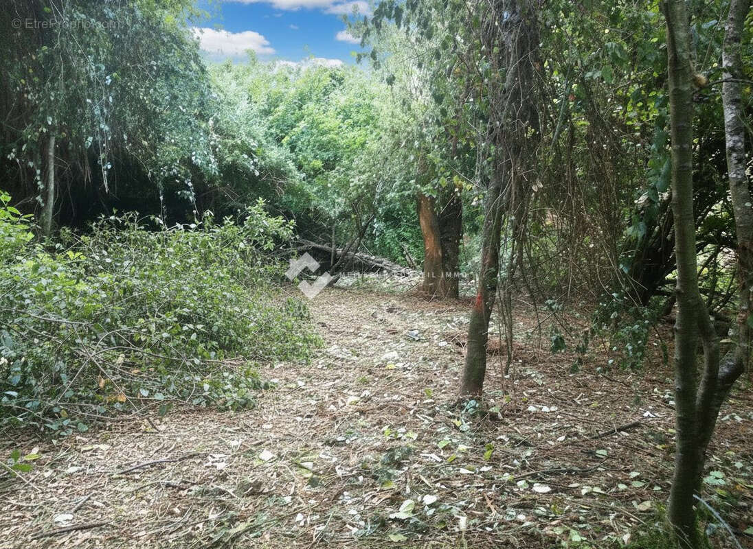 Terrain à PRUNO