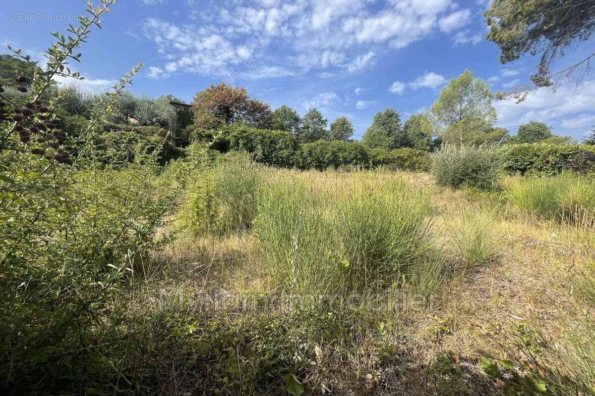Terrain 480 m² à Peymeinade  - photo 5