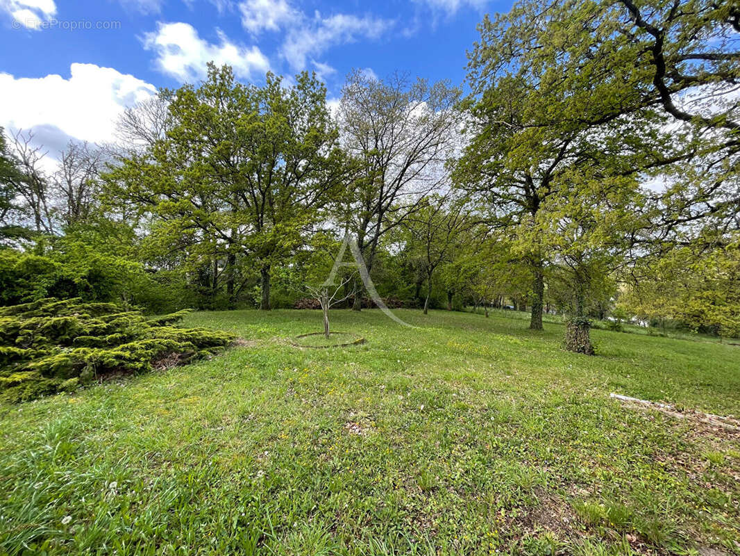 Maison à MONTRICHARD