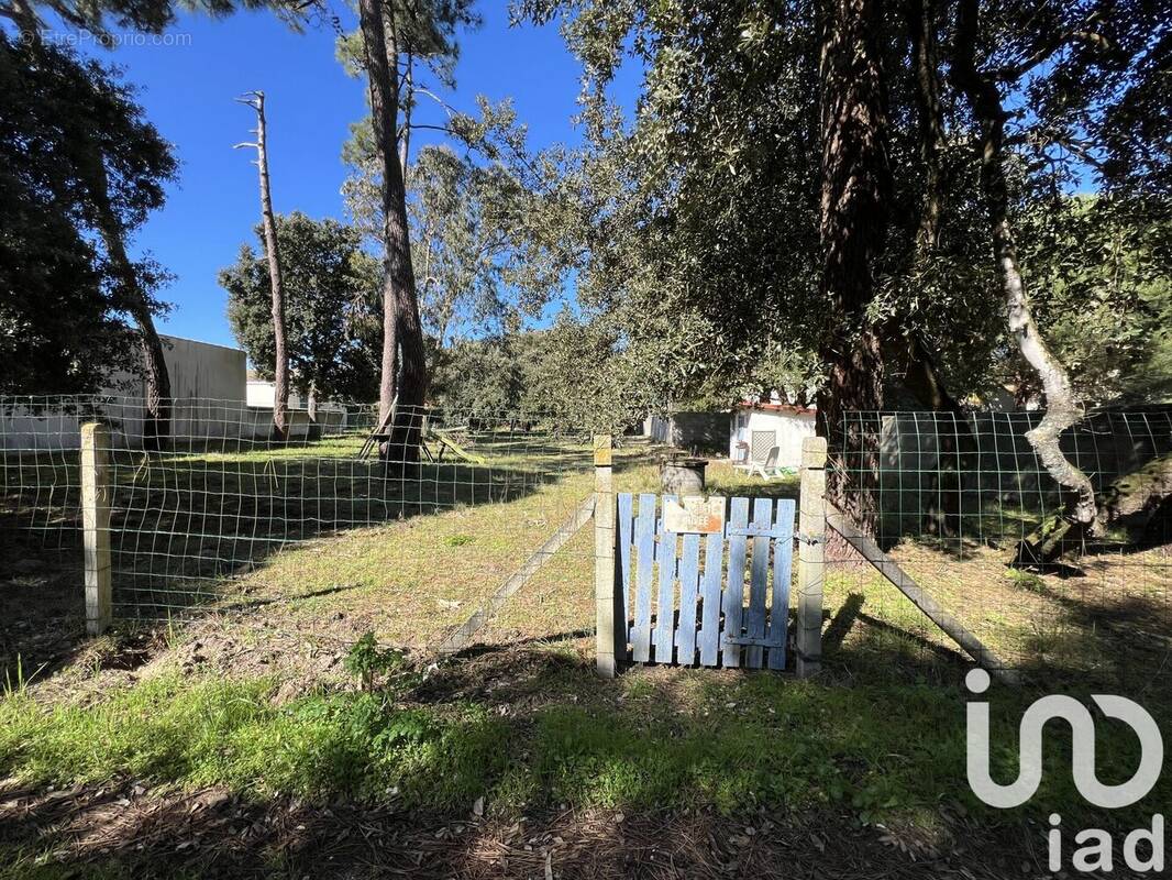 Photo 1 - Terrain à SAINT-GEORGES-D&#039;OLERON