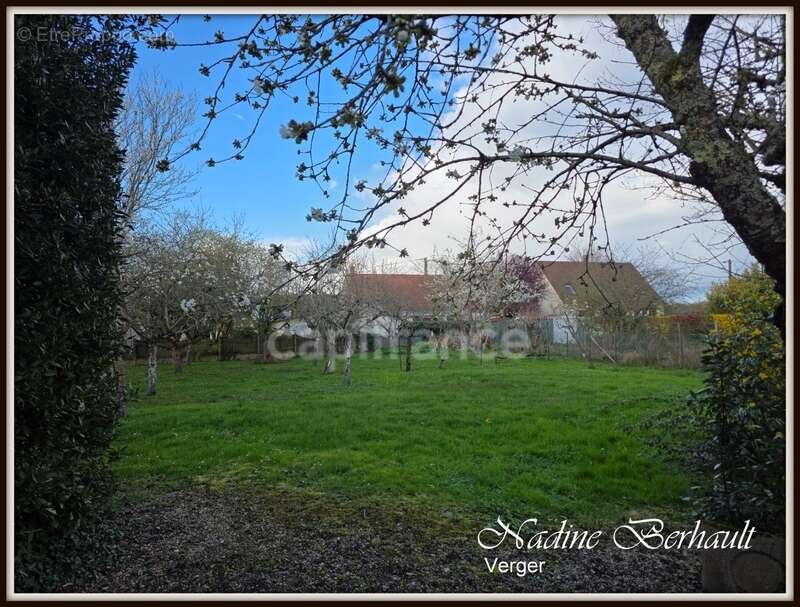 Maison Amilly 45, maison RDC à rénover - appartement et local commercial loué, terrain arboré de 1 538 m².entièrement clos.Centr - photo 9