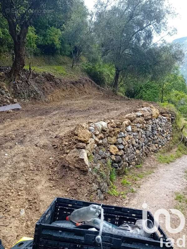 Photo 7 - Terrain à BREIL-SUR-ROYA