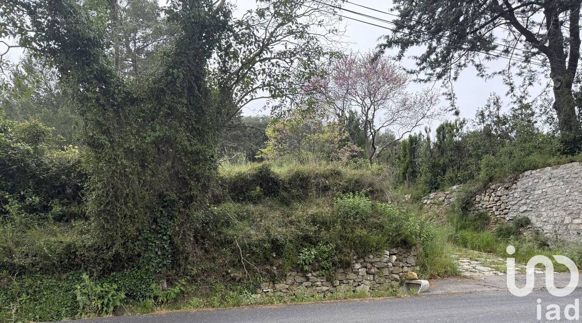 Photo 1 - Terrain à MURVIEL-LES-MONTPELLIER