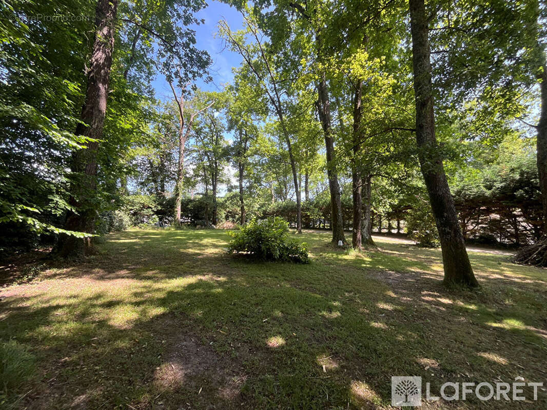 Maison - Golf St Sulpice et Cameyrac - 5 chambres - 196m² - photo 15