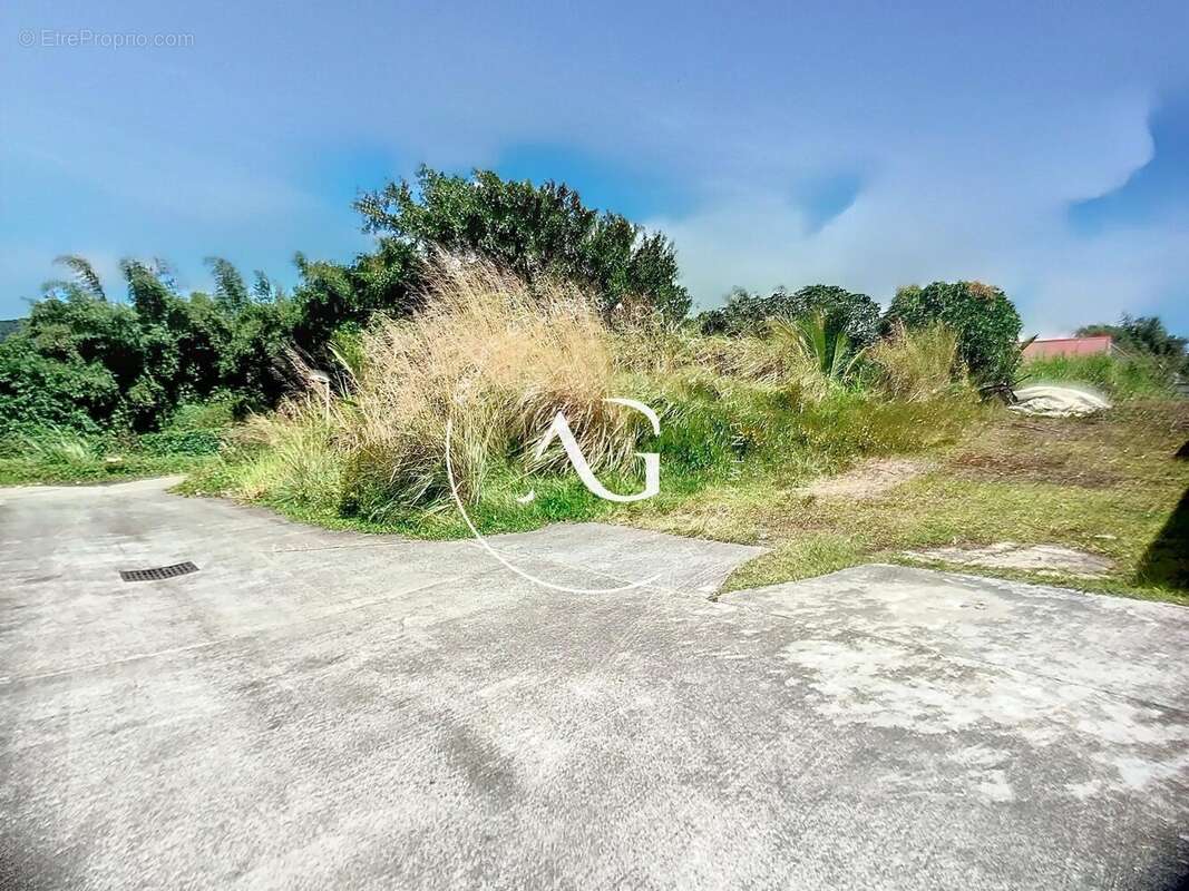 Photo 3 - Terrain à LE MORNE-ROUGE