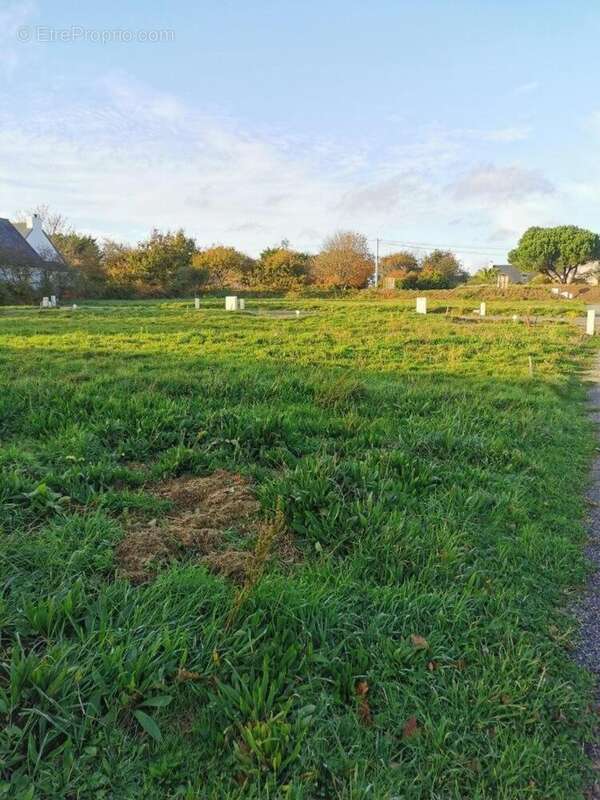 Photo 2 - Terrain à PERROS-GUIREC