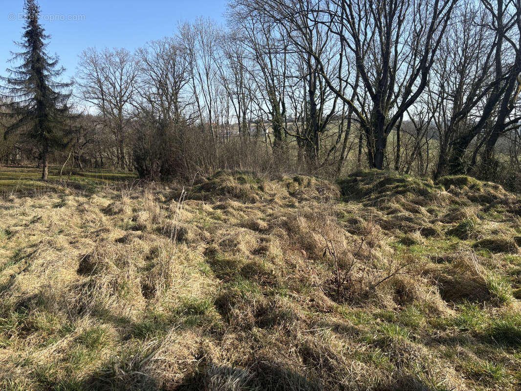 Terrain à BOUZONVILLE