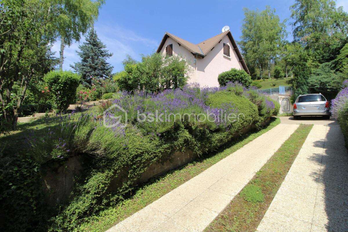 Maison à VILLENEUVE-SUR-YONNE