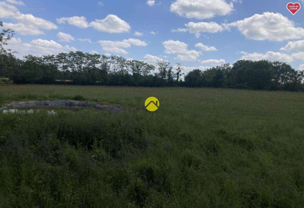 Maison à ALLIGNY-COSNE