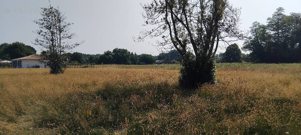 Terrain à CUSSAC-FORT-MEDOC