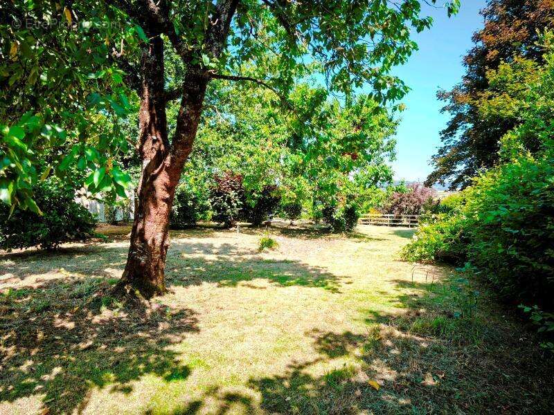 Maison à SAINT-DOLAY