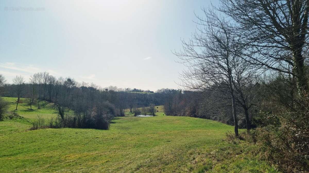 Terrain à DOUVILLE