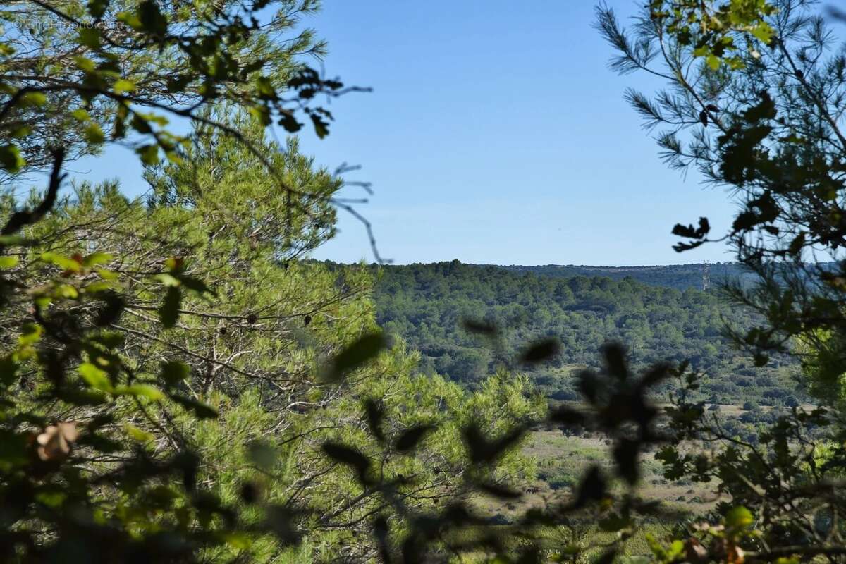 Mas en pierre au cœur d'un superbe environnement - photo 28