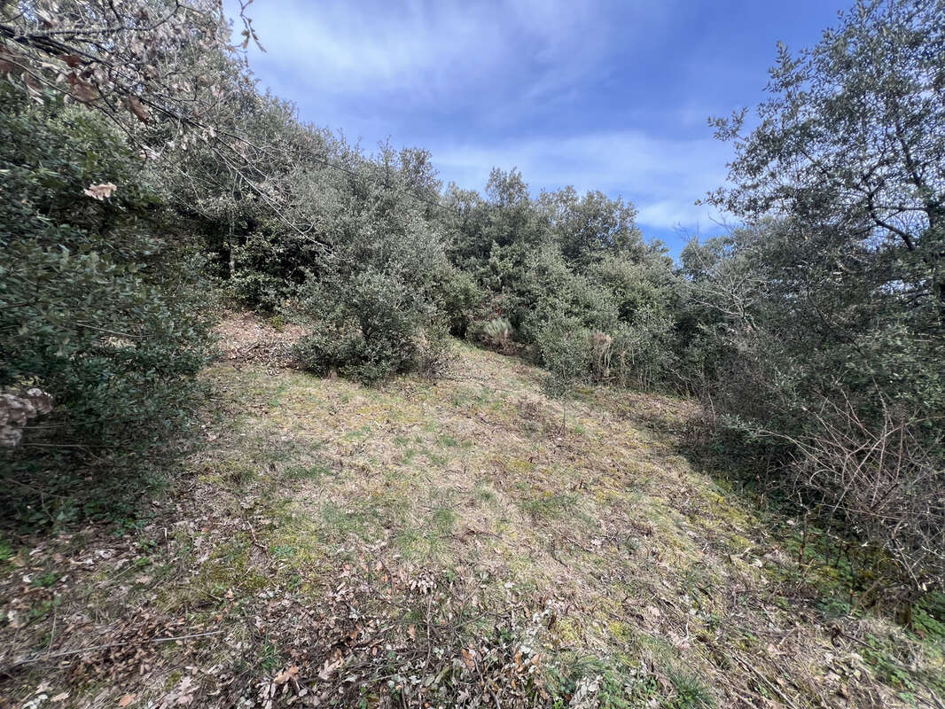 Terrain à SAINT-PERAY