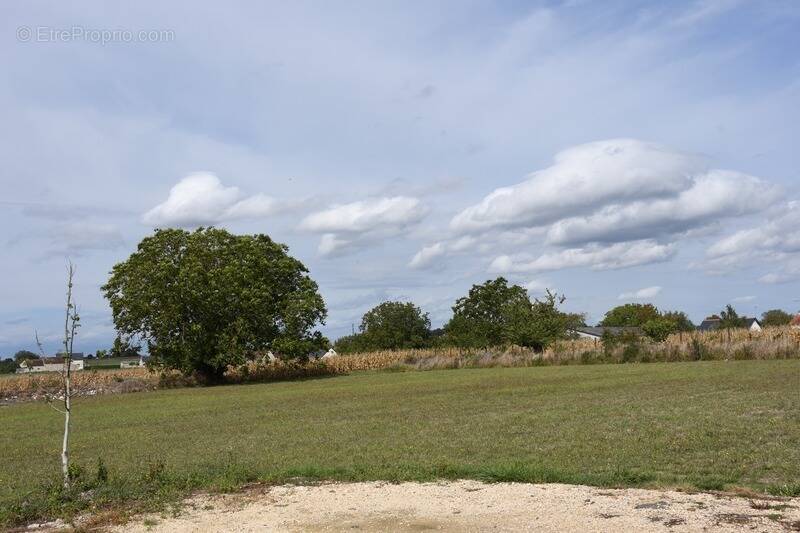 Terrain à LA CELLE-SAINT-AVANT