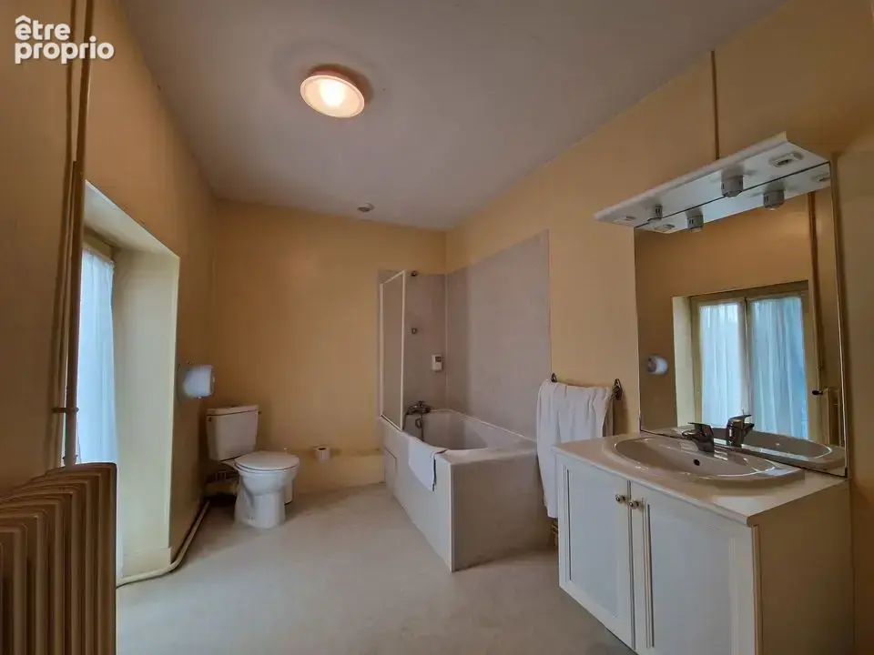 Maison 23 pièces 556 m² à vendre à Sancoins (18600) - photo 18