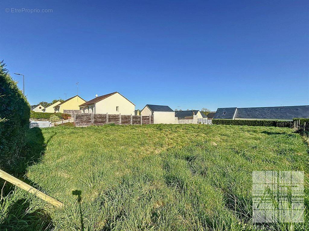 Terrain à CHAILLAND