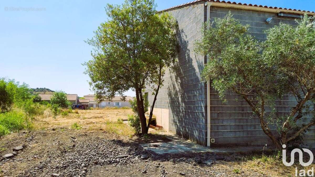 Photo 3 - Maison à PUISSALICON