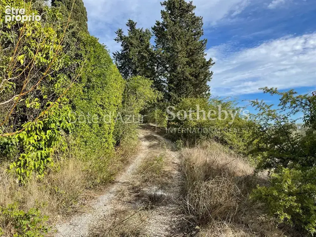 Projet de 3 villas contemporaines sur 35 233 m² - photo 8