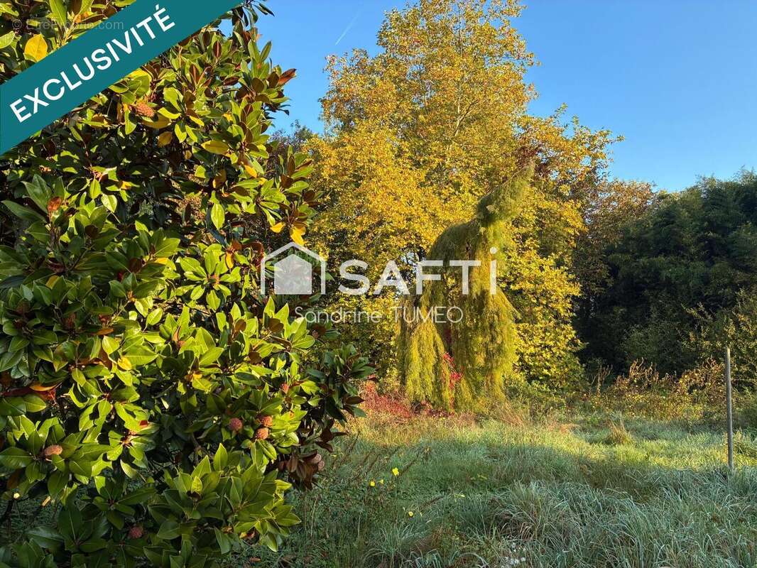 Photo 2 - Terrain à BERSAILLIN