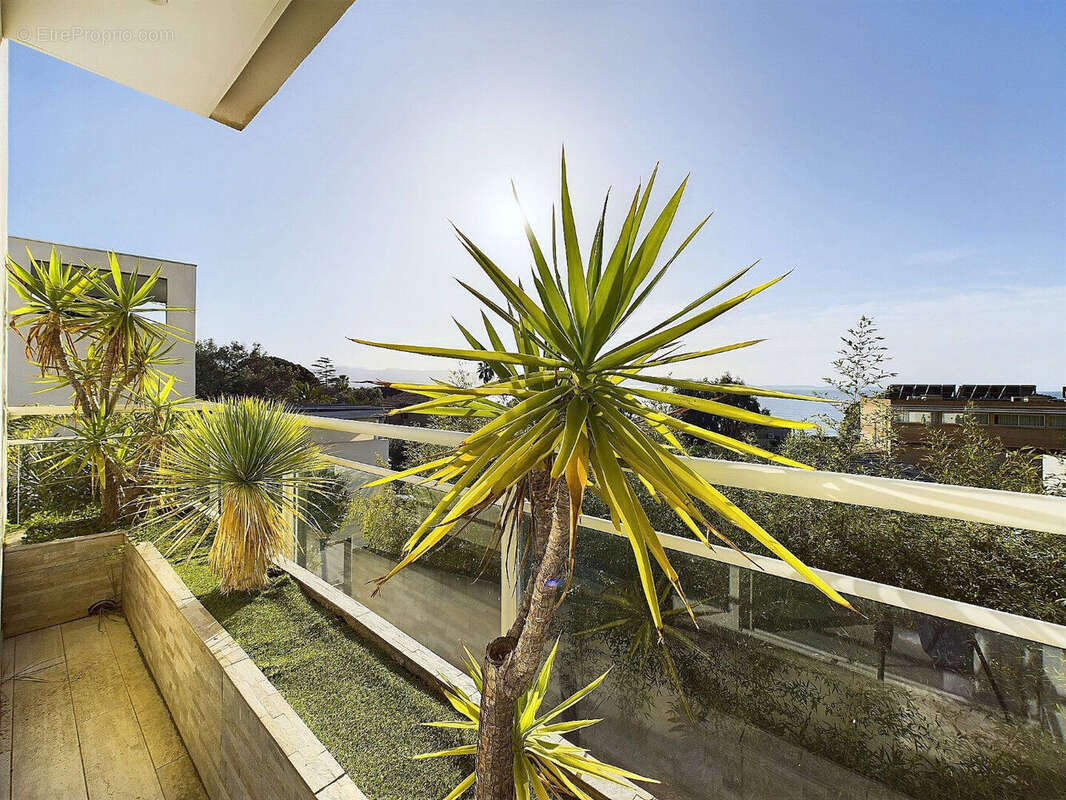 Appartement à AJACCIO