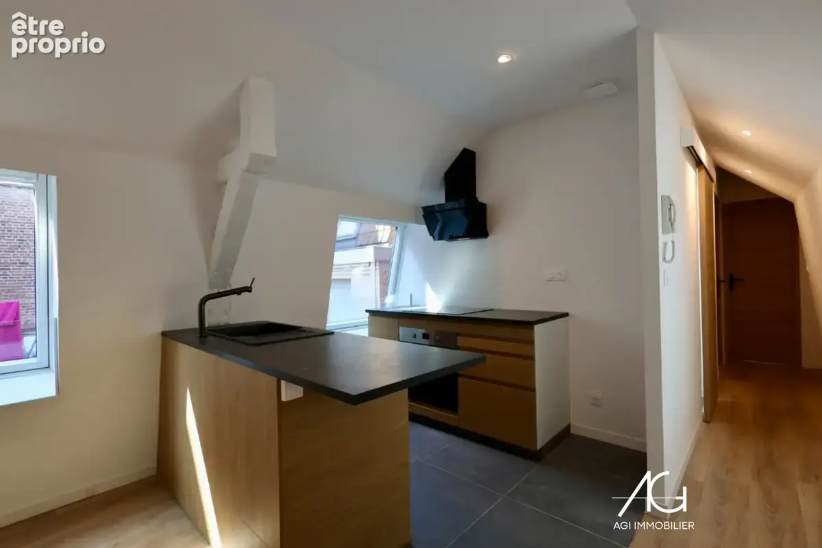 Appartement T3   50m2 rénové   Rue Léon Gambetta, Lille - photo 5