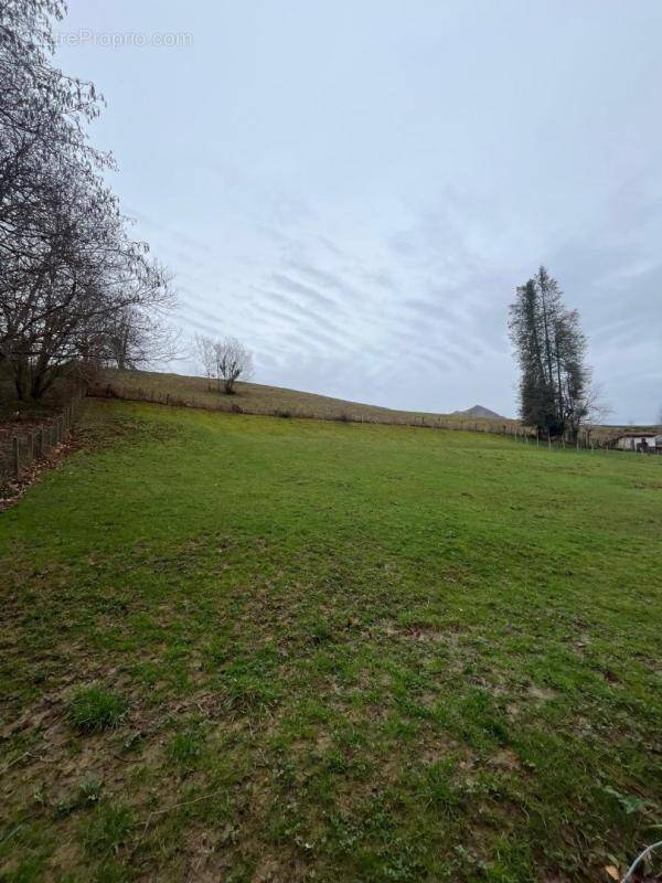 Terrain à SARE
