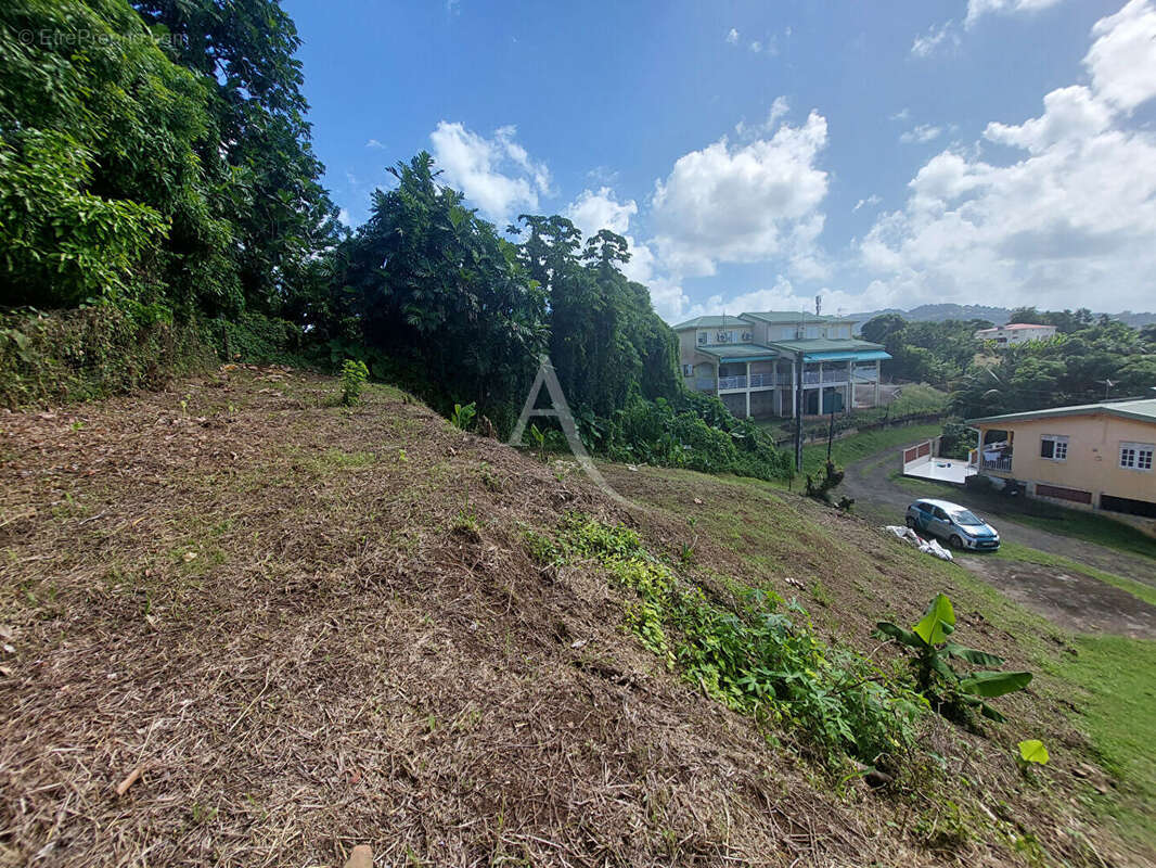 Terrain à LE LAMENTIN