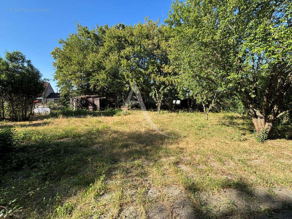 En vente - germigny/loire - maison plain pied 2 chambres terrain - photo 3