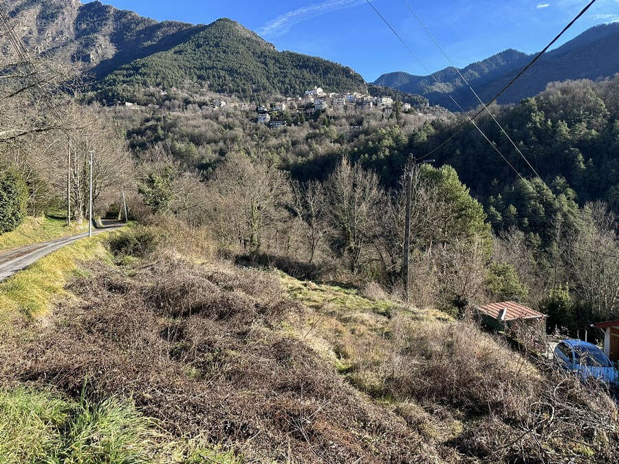 Terrain à LA BOLLENE-VESUBIE