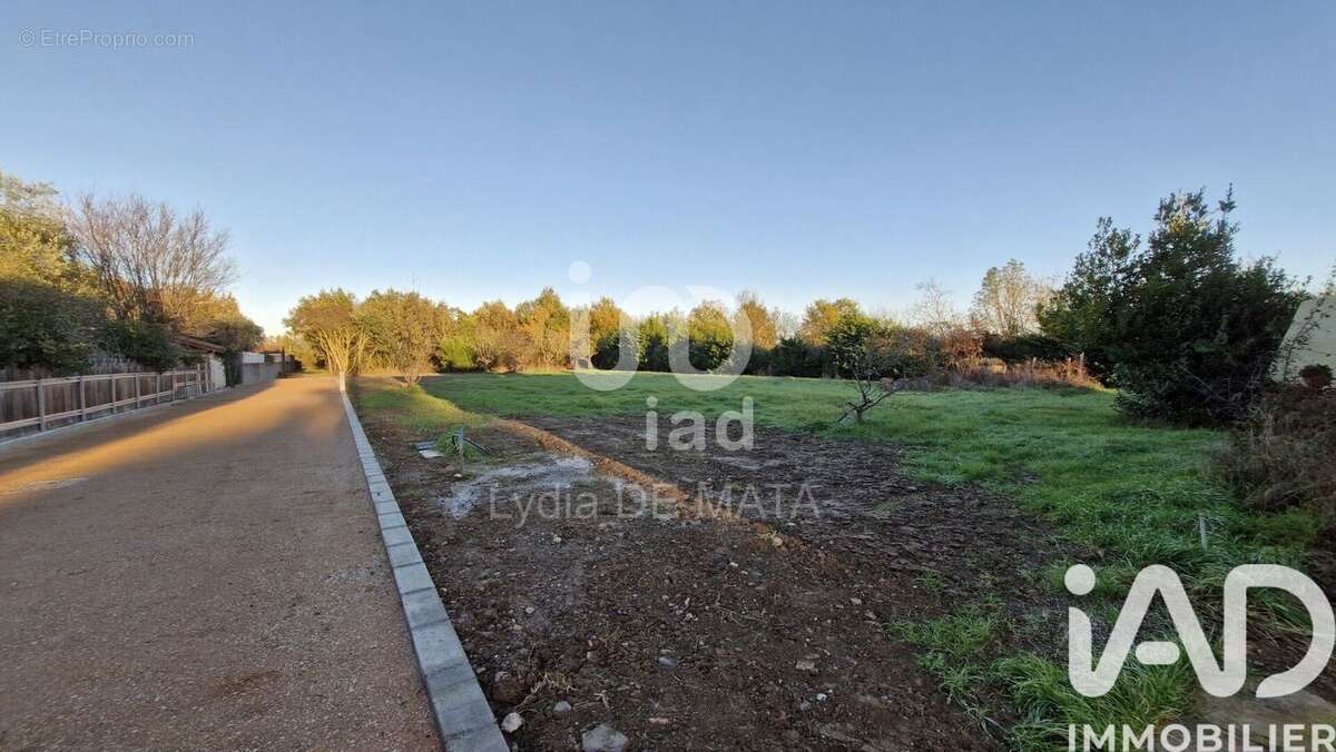 Terrain 1039 m² à Beauzelle  - photo 2