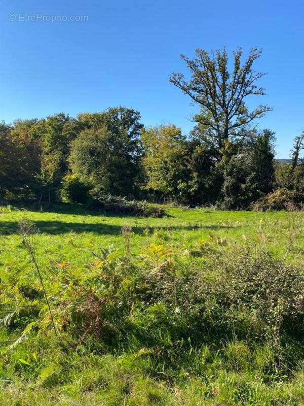 Terrain à SAINT-JUNIEN