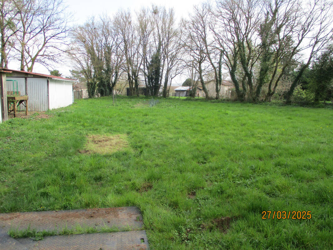 Terrain à JAZENEUIL